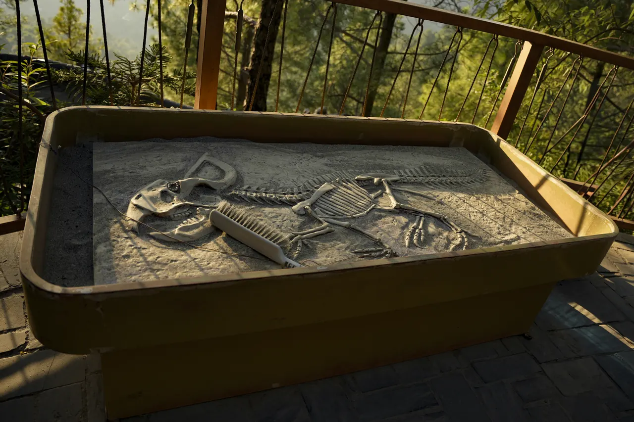 A sandpit with a dinosaur skeleton fossil and a brush waiting to dig