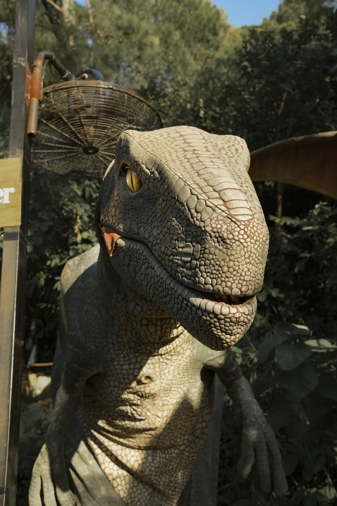 Close-up of a raptor's head with an amber eye, ferns behind