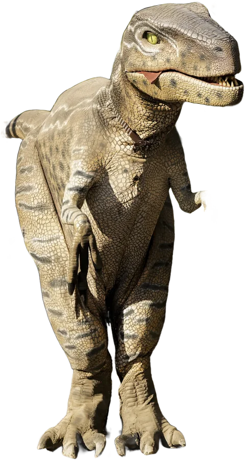 A Dino Valley dinosaur standing upright, front view